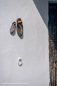 France, Provence, Camargue, Cabane de gardian, Gardian quant