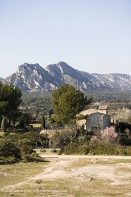 15 02 2007 - Provence - Les Alpilles