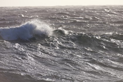 27 08 2010 - Minorque (ESP) - Cap favaritx (East Coast)