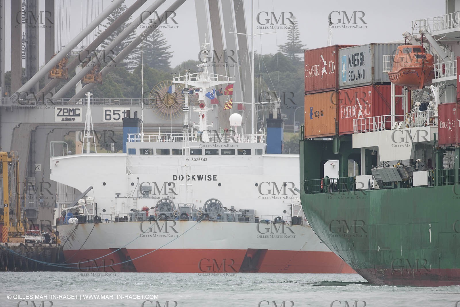 31 01 2009 - Auckland (NZL) -  Louis Vuitton Pacific Series -  Racing Day 2