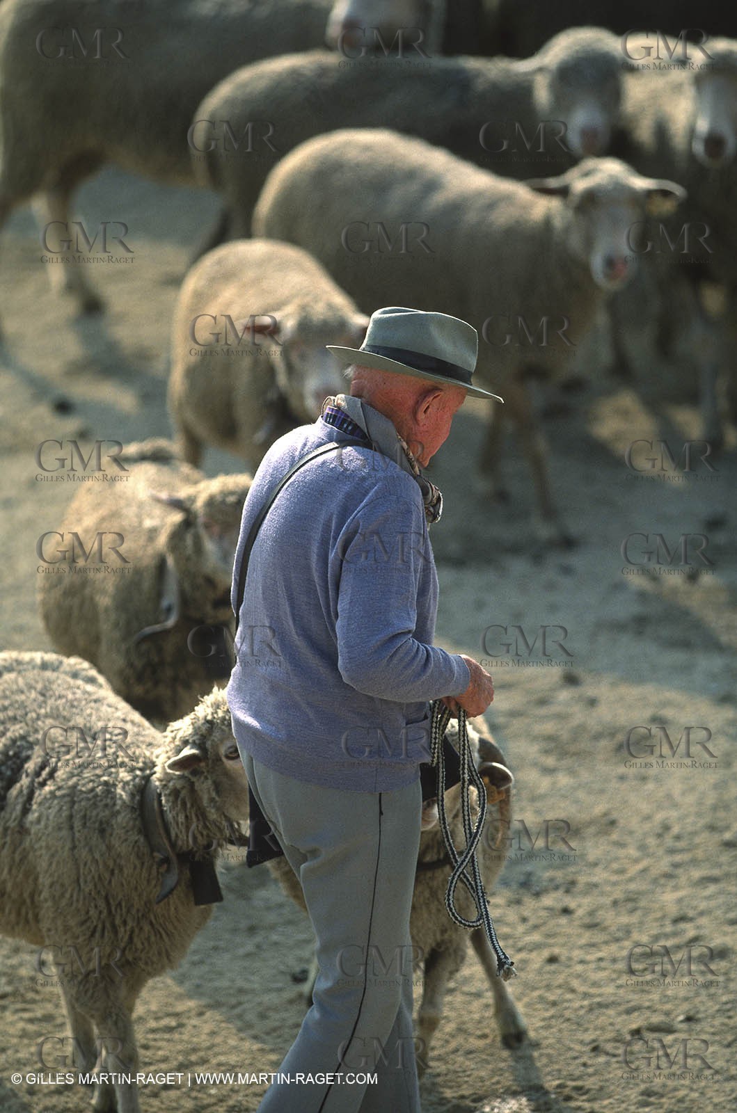 Saint Rémy de Provence (FRA,13) - Sheep stocks migration Fest