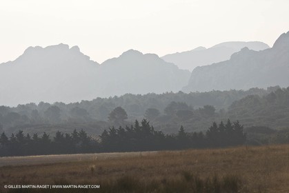 22 02 2008 - Mouriès (FRA, 13) - Alpilles hills landscapes