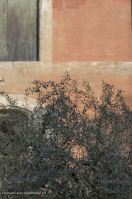 19 04 2018, Goult (FRA,84)