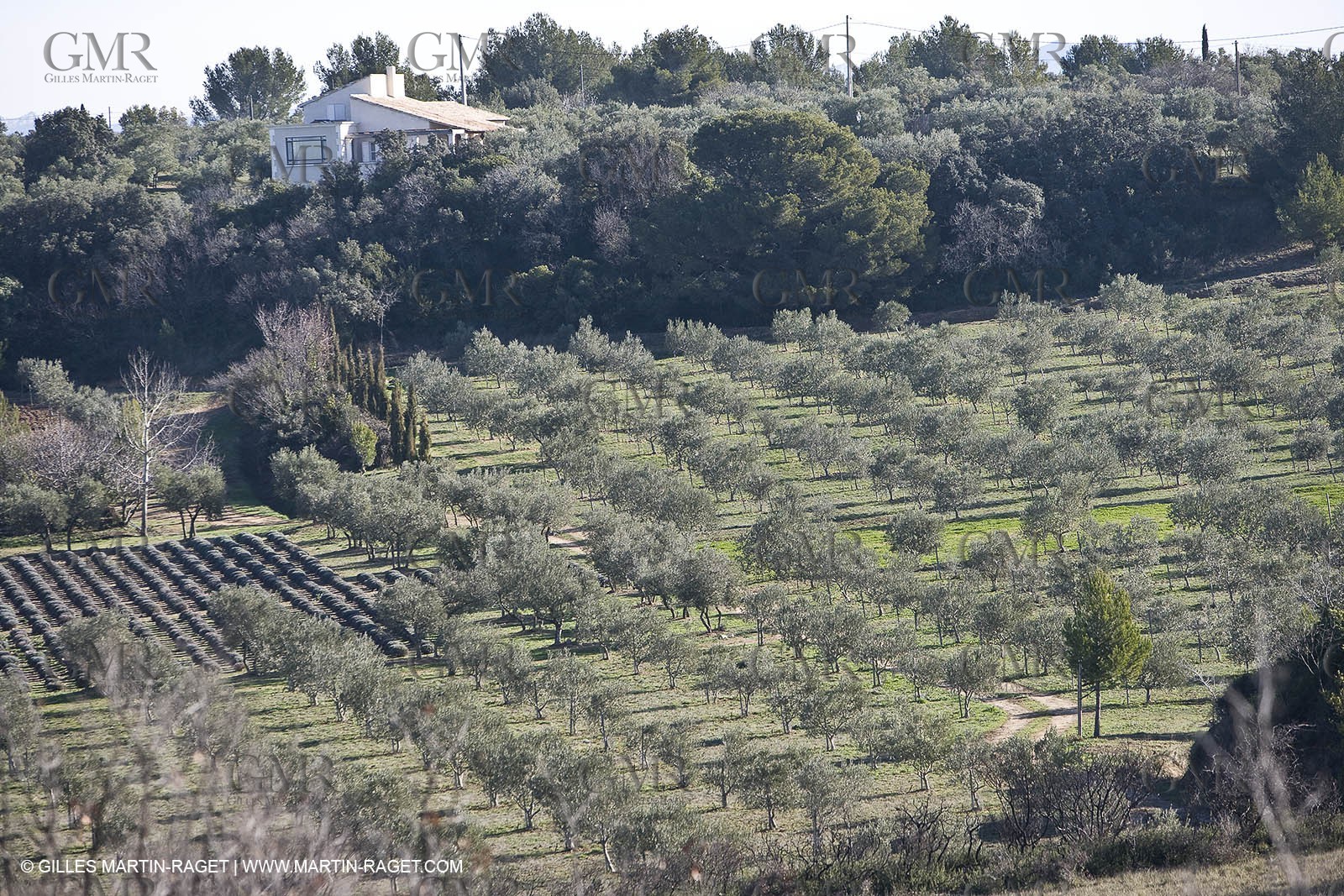 05 02 2008 - Arles (FRA, 13) - Arles surroundings landscapes