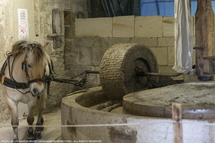 14 11 2015, Saint-Etienne du Grès (FRA,13), fabrication traditionelle de l'huile d'olive au moulin de la Croix