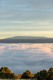12 04 2016, Luberon National Park, Mount Ventoux