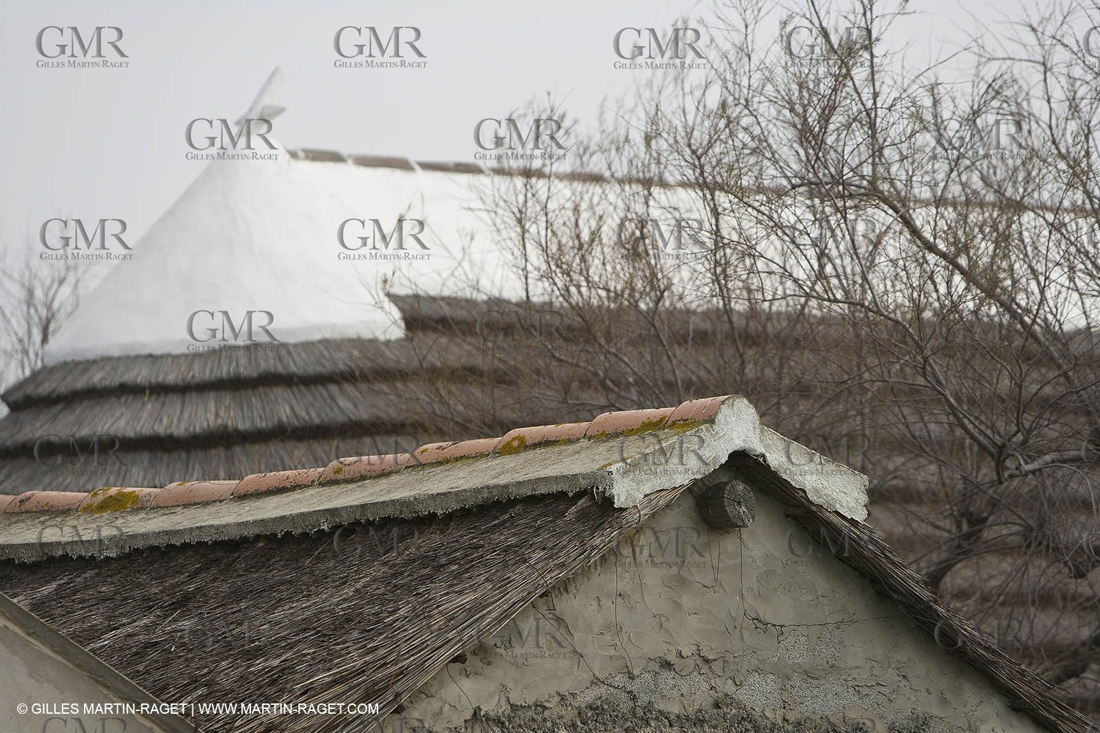 16 02 2008 - Les Saintes Maries de la mer (FRA, 13) - gardians cants