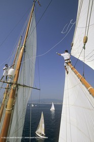 Sailing, Classic Yachts, Shenandoah