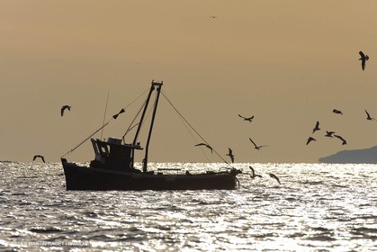 Fishing