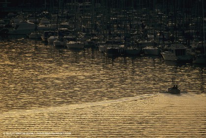 France, Provence, Pêche , Barques, pointus, pêche locale