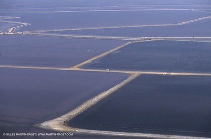 Marais de Camargue