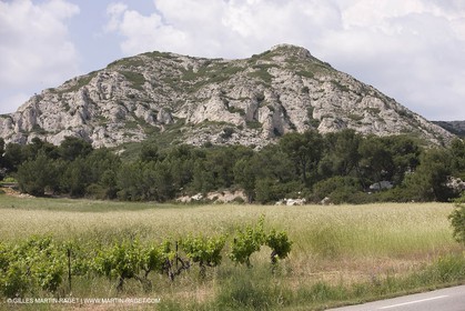 10 06 2008 - Arles and surroundings (FRA, 13) - Vincent Van Gogh south