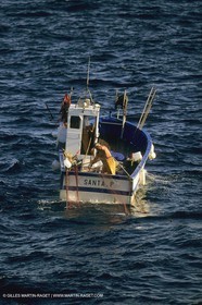 France, Provence, Pêche , Barques, pointus, pêche locale