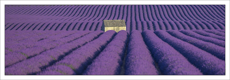 Produit : Tirage photo réalisé par nos soins sur imprimante jet d'encre professionnelle Epson à partir de 8 encres ultrachrome inaltérables (label Digigraphie).Formats au choix : .. 20 x 60 cm. 33 x 95 cm. 52 x 150 cmChoix des papiers :. Papier standard brillant 250 gr., filet noir, marge blanche, tirage non signé. Papier haut de gamme satiné 290 gr. filet noir, marge blanche, tirage vérifié et signé par l'auteur.. Tirages d'art (Digigraphies) signées, numérotées, tamponnées, enregistrées sur demande. Autres supports (canvas, acrylique, dibond) sur demandeConditionnement : tube cylindrique renforcé.Options pour l'expédition : . Colissimo + dépôt boîte aux lettres (France uniquement). Colissimo avec signature à réception. Transporteur express (2 jours ouvrés) avec signature à réceptionCliquez sur caddie pour sélectionner votre formule et démarrer la procédure de commande en ligne