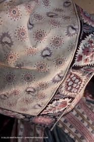 30 06 2011 - Toulon (FRA,83) - Villa Rosemaine - Exposition Indiennes sublimes