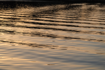 Sense51_0975.jpg