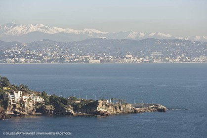 06 02 2008 - Théoule sur mer (FRA, 06) - Mimoses in full flower