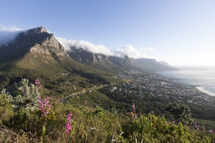 10 11 2014, Capetown (ZAF), Volvo Ocean Race 2014-15, Team Alvimedica