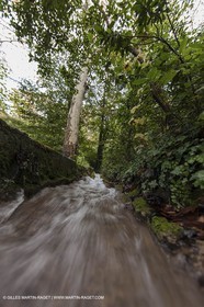 23 10 2012 - Gemenos (FRA) - Parc Départemental de la vallée de Saint Pons