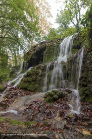 23 10 2012 - Gemenos (FRA) - Parc Départemental de la vallée de Saint Pons