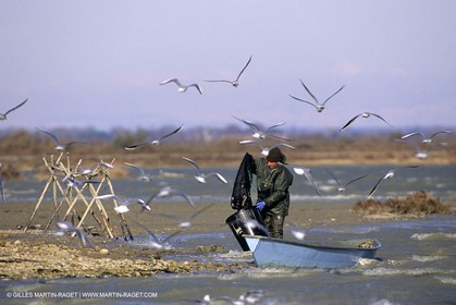 Camargue (FRA,13) - Gardians
