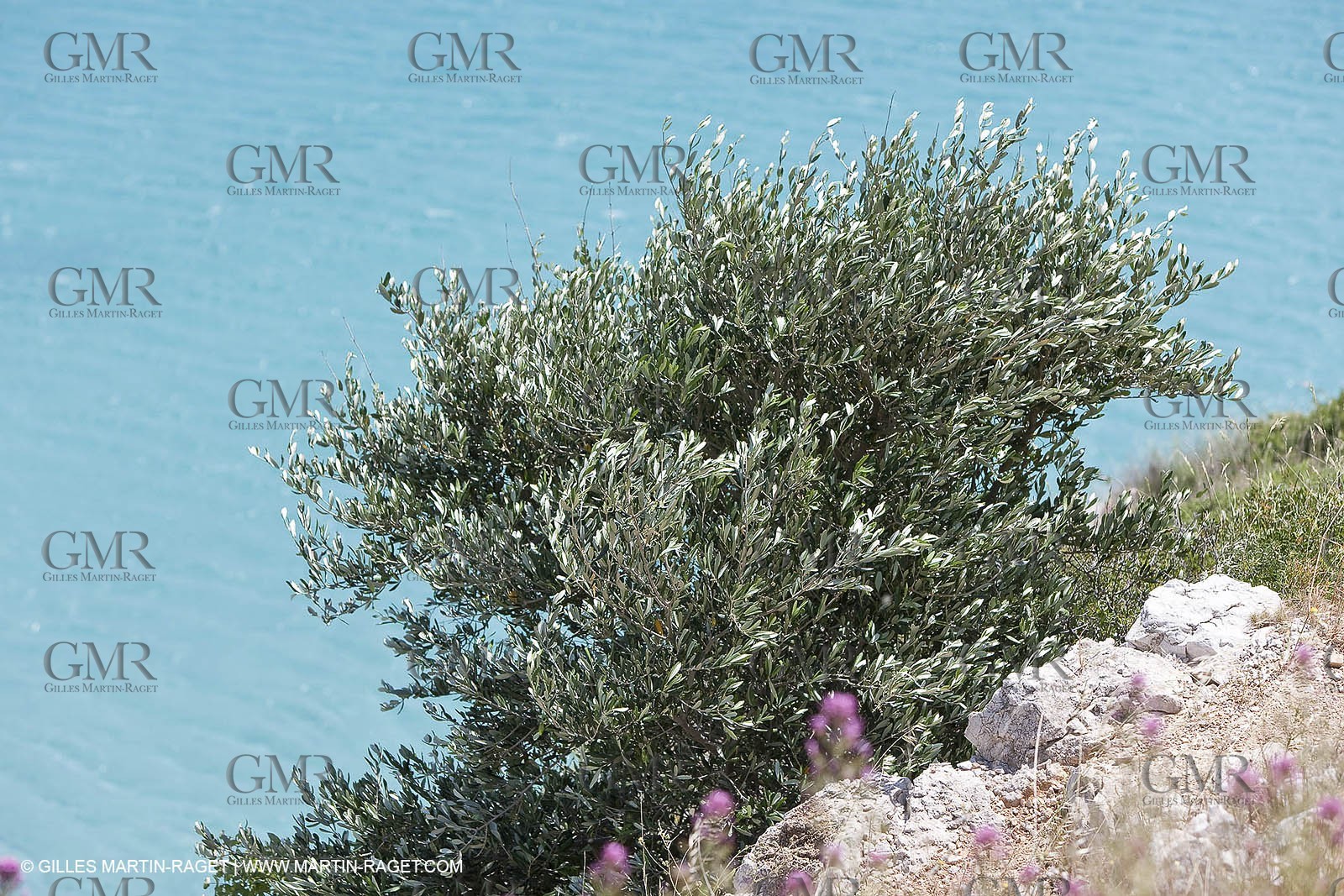 27 05 2009 - Marseille (FRA, 13) - Les Calanques - Sormiou