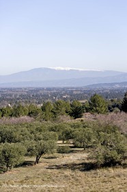 15 02 2007 - Provence - Les Alpilles