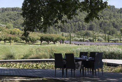 22 06 2018, Saint-Saturnin les Apts (FRA,84), Domaine des Andéols