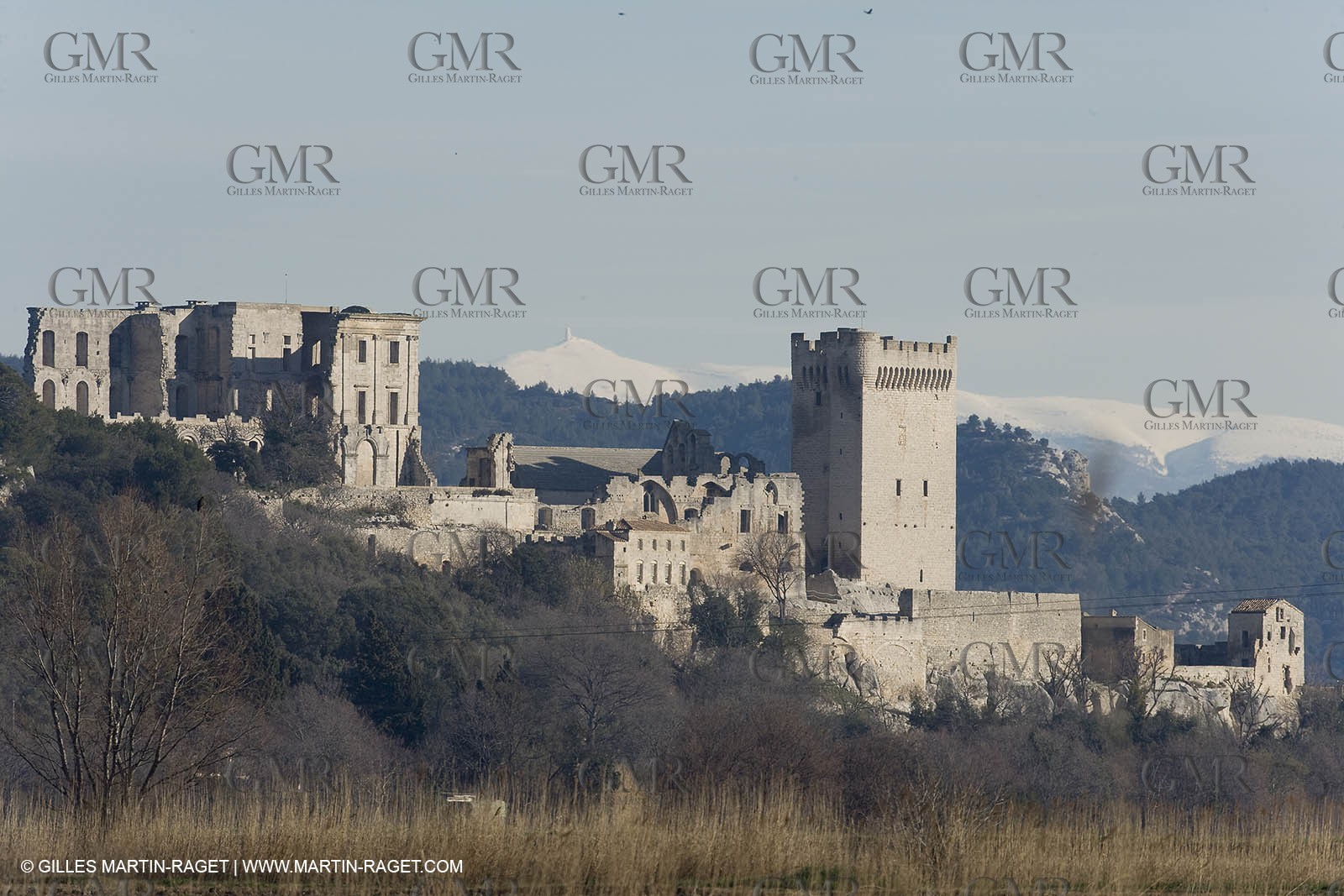 05 02 2008 - Arles (FRA, 13) - Arles surroundings landscapes