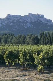 Vin, Vigne , Vendanges, vignification, vignobles, France, Provence, Côte du Rhône, Rosé