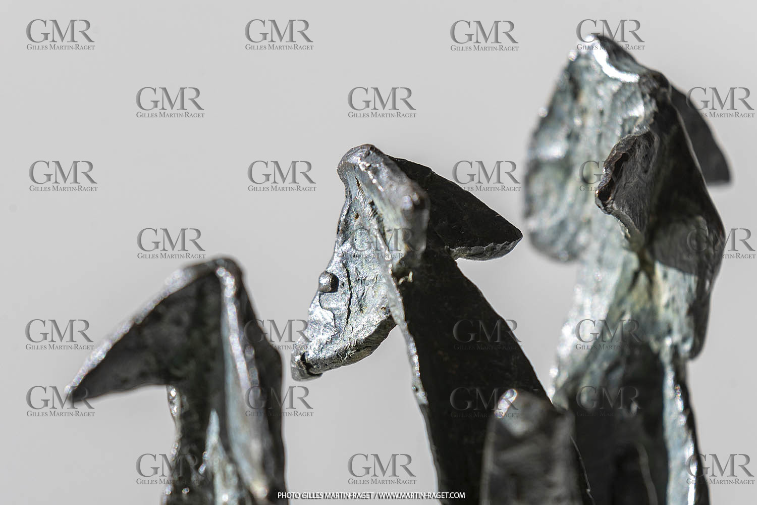 19 02 2020, Marseille (FRA,13), Oeuvre de Germaine Richier, Le Crochet ou Hydre 1954, Bronze patiné foncé, Numéroté HC1, Fondeur Susse, Paris, 14 x 13 x 7 cm, Collection particulière