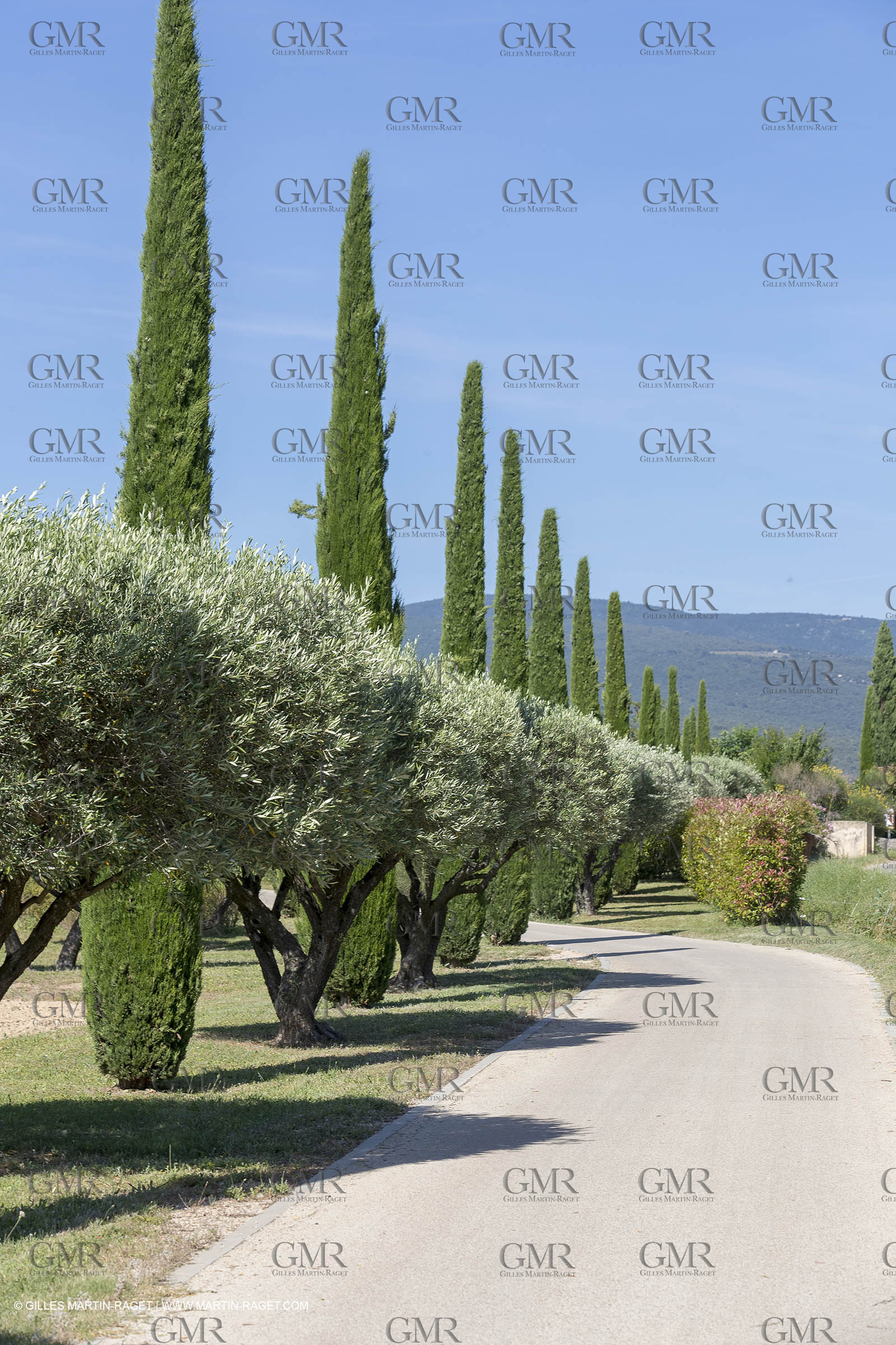 22 06 2018, Saint-Saturnin les Apts (FRA,84), Domaine des Andéols