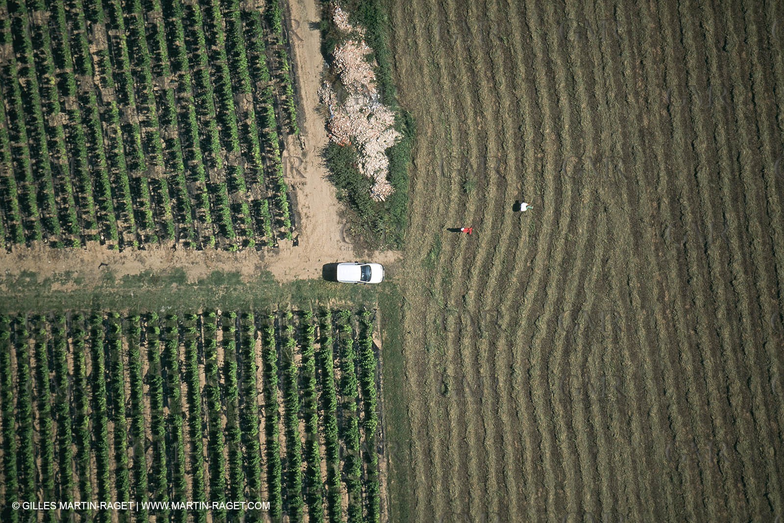 Nimes Metropole landscapes (FRA,30)