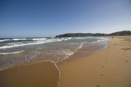 11 12 2006 - Australie - New South Wales - Central coast - Gosford & environs