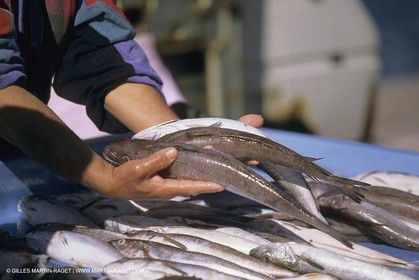 France, Provence, Marchés en plein air   Flee markets
