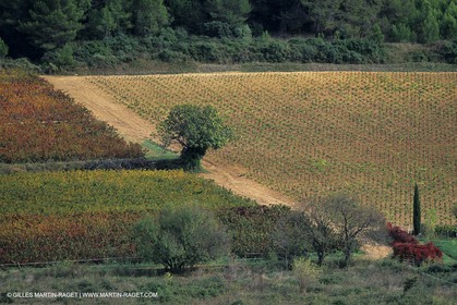 Paysages de Nîmes Métropole (FRA,30) -Costières