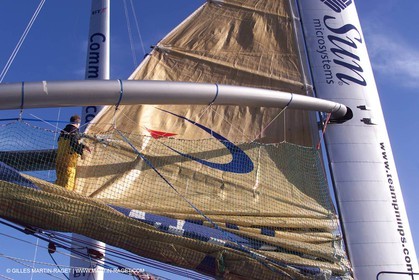 The Race - Team Phillips