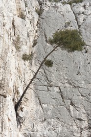 26 03 2009 - Marseille (FRA, 13) - Les Calanques - Sugiton - Les toits cliff