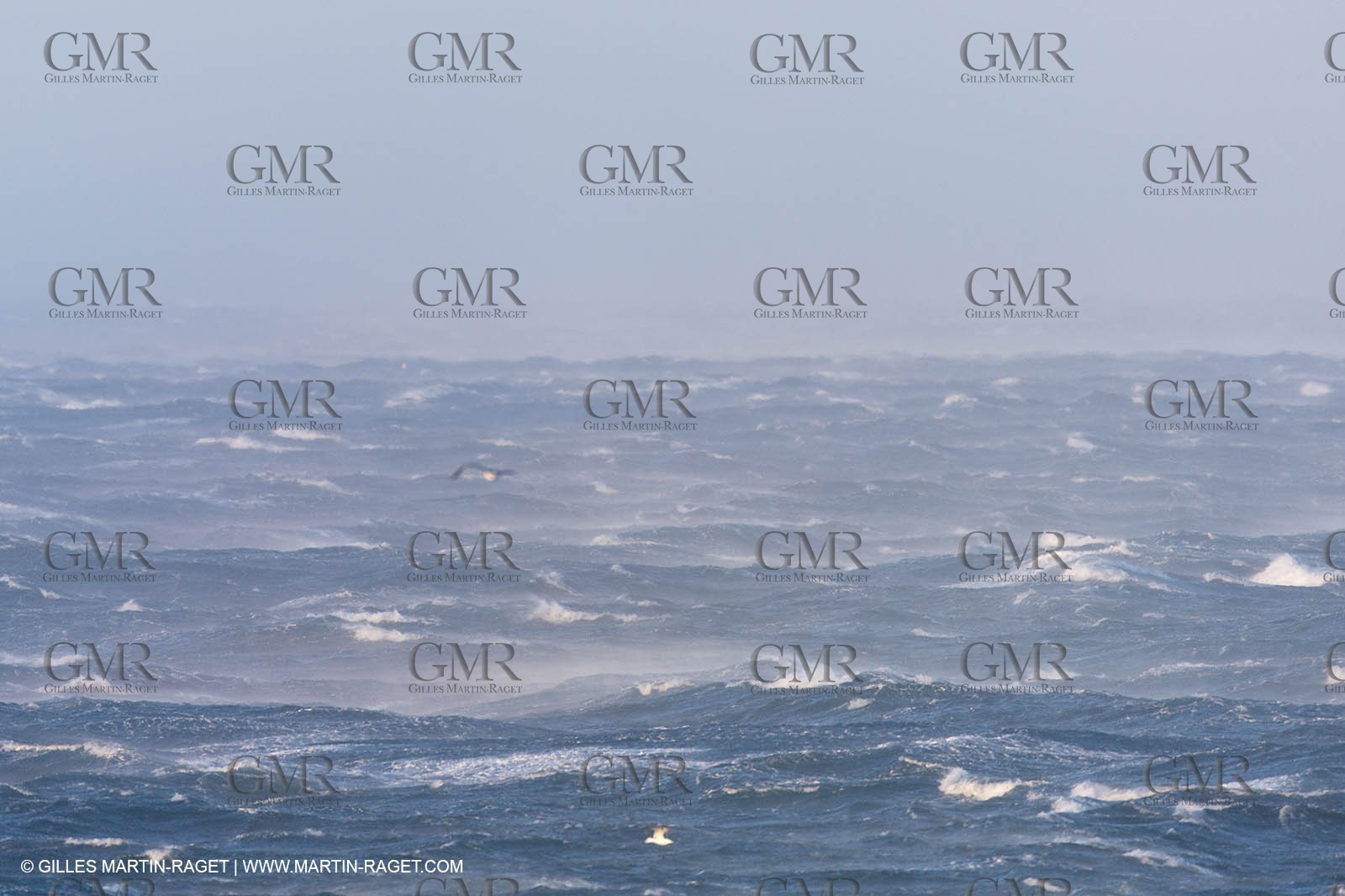 14 03 13 - Marseille (FRA) - Mistral Gale