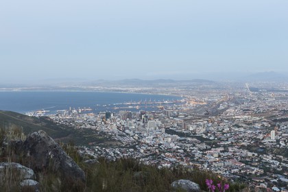 10 11 2014, Capetown (ZAF), Volvo Ocean Race 2014-15, Team Alvimedica