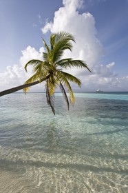 01 02 2008 - San Blas Archipelago (Panama) - Motor Yacht Senses