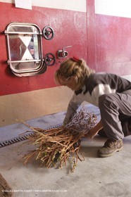 Harvest - D'or et de Gueule castle