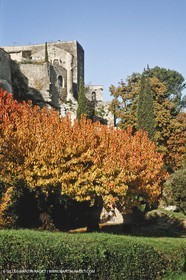 Ménerbes (FRA,84)
