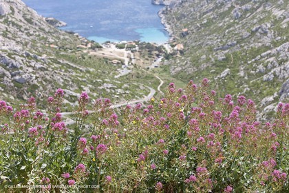 27 05 2009 - Marseille (FRA, 13) - Les Calanques - Sormiou