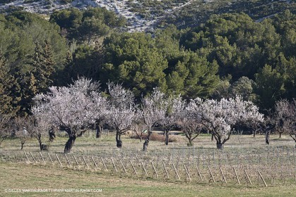 09 02 2008 - Les Baux de Provence (FRA, 13) - Alpilles hills landscapes