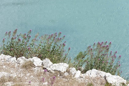 27 05 2009 - Marseille (FRA, 13) - Les Calanques - Sormiou