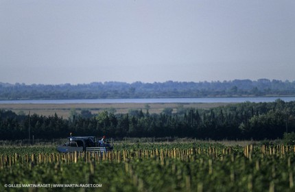Paysages de Nîmes Métropole (FRA,30) -Costières
