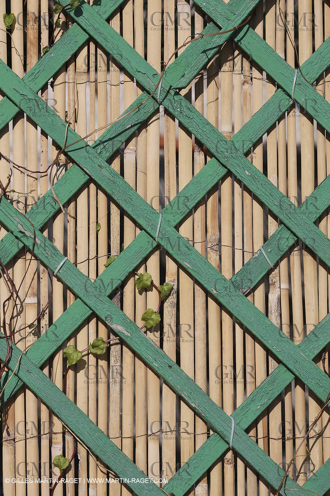 29 07 2009 - Marseille (FRA, 13) - Les Calanques