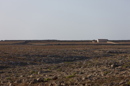 27 08 2010 - Minorque (ESP) - Punta Sati (Côte Ouest)