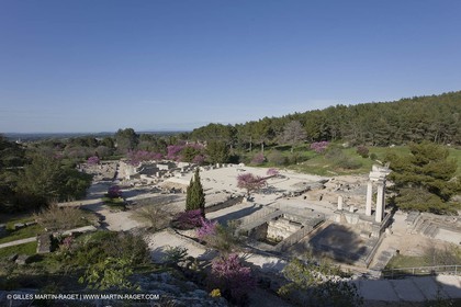 12 04 2008 - Saint Rémy de Provence - (FRA,13) - Le Midi de Van Gogh - site archéologique romain de Glanum